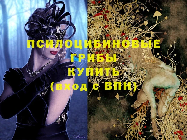 ALPHA PVP Заволжск