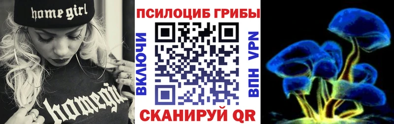 Псилоцибиновые грибы мицелий  Купить  Ступино 